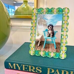 NEW LAURA PARK boca bay acrylic picture frame in multi-color